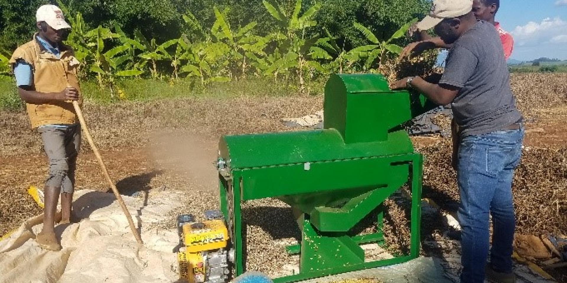 Men threshing