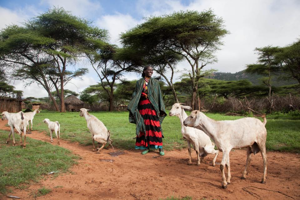 A woman with livestock