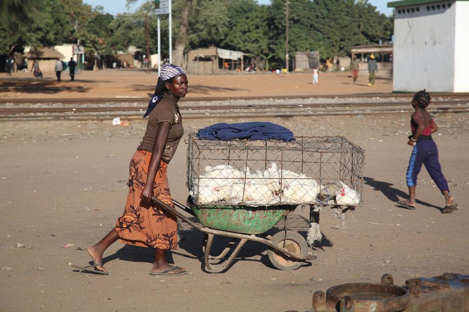 Woman carrying a chicken cage