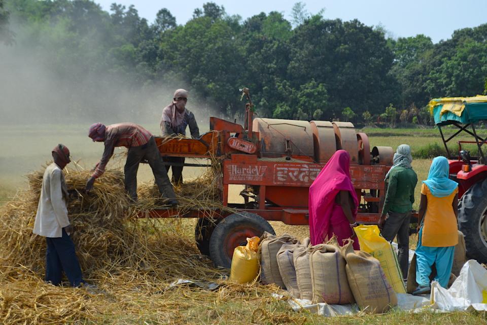 Farmer collective in Bihar, India. Photo: WLE.