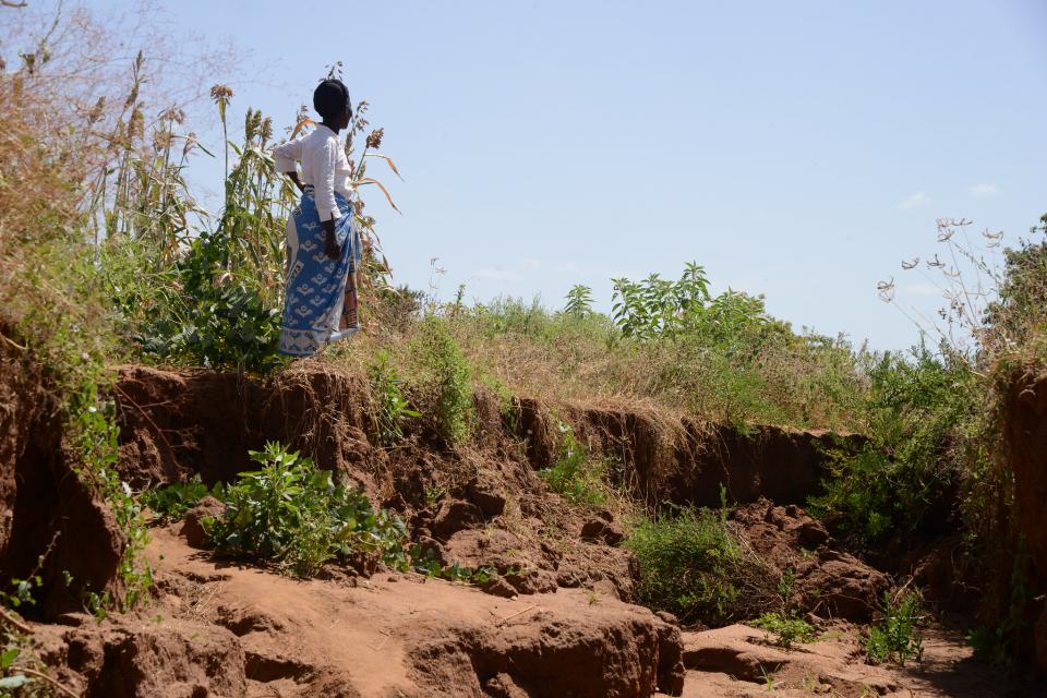 Pastor Grace Josphat viewing the gulley on her farm in Mwingi, Kenya. Photo: ICRAF.