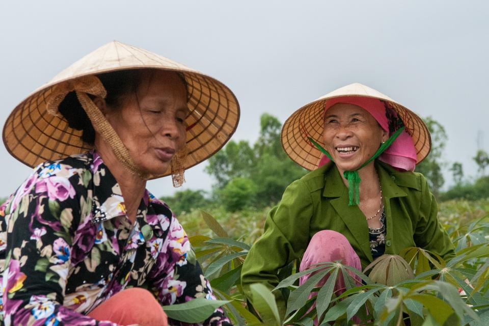 Farmers being trained on soil fertility in Vietnam. Photo: Georgina Smith/CIAT.