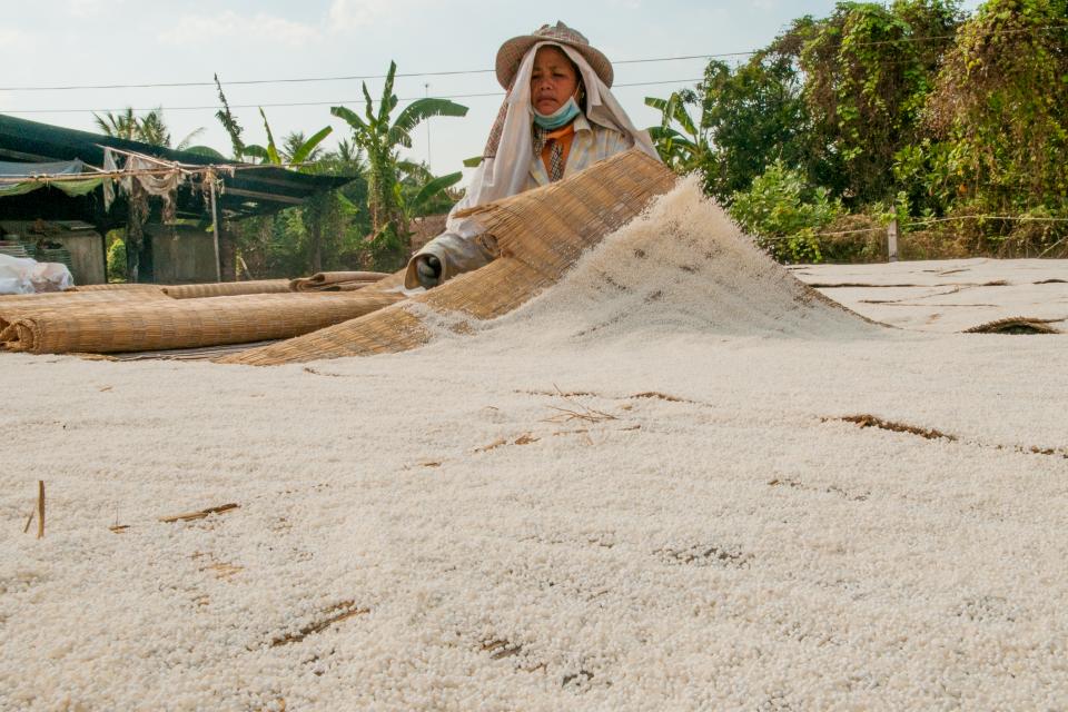 A woman dries rice. Photo: Georgina Smith/CIAT.