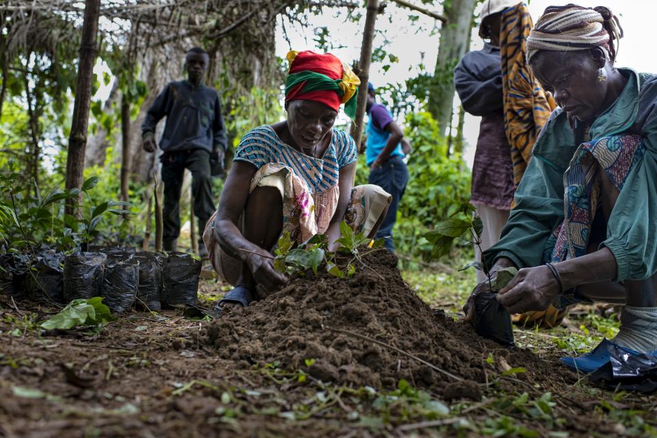 Photo credit: Ollivier Girard/Center for International Forestry Research.     Creative commons license: Some rights reserved:Attribution-NonCommercial-NoDerivs 2.0 Generic (CC BY-NC-ND 2.0) creativecommons.org/licenses/by-nc-nd/2.0/deed.en