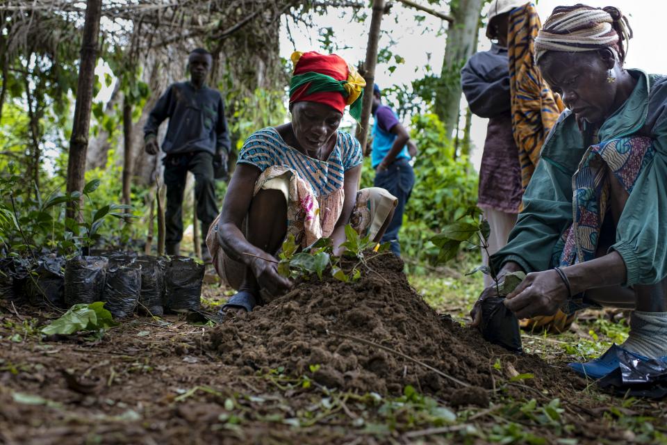 Land restoration