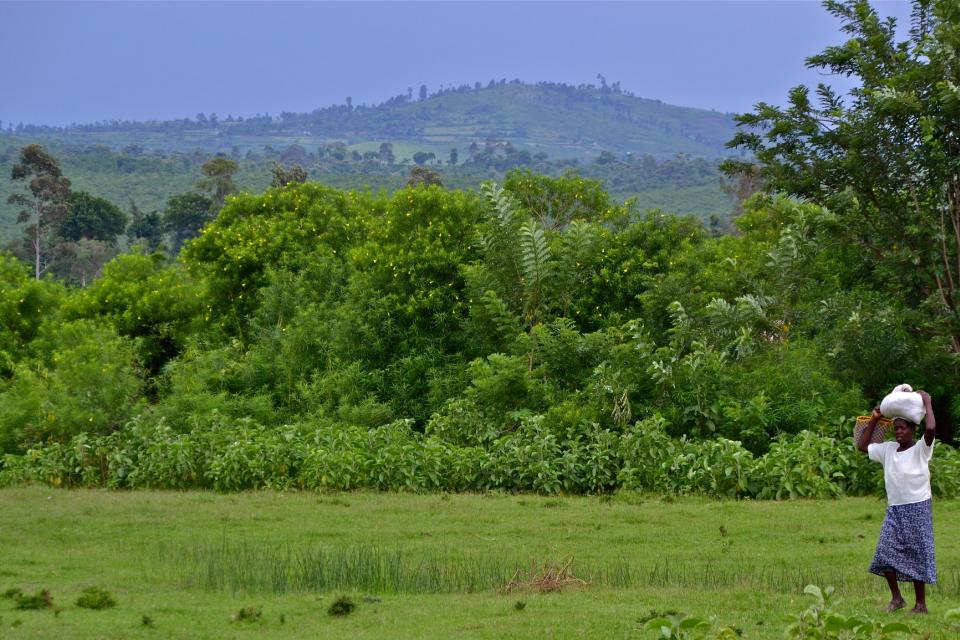 Woman crossing pasture in Kenya