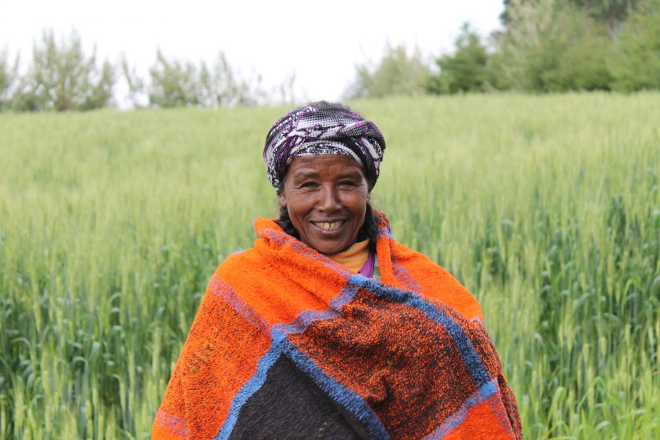 Woman in her farm in Ethiopia