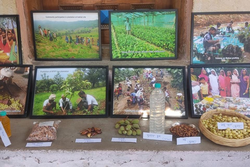 Products and byproducts from Mahva plant. Photo: Mansi Tripathi/IWMI