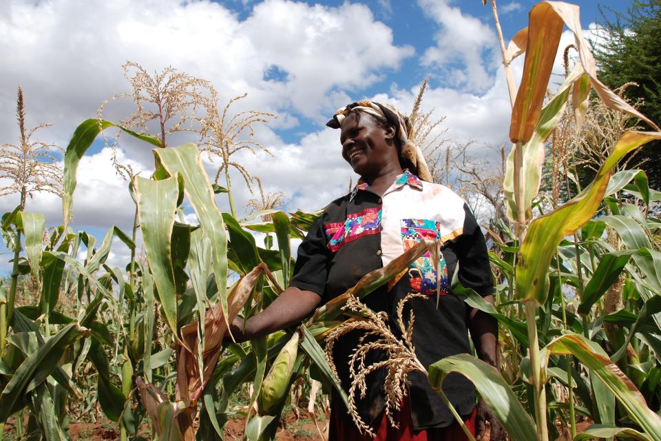 Maize farmer in Kenya