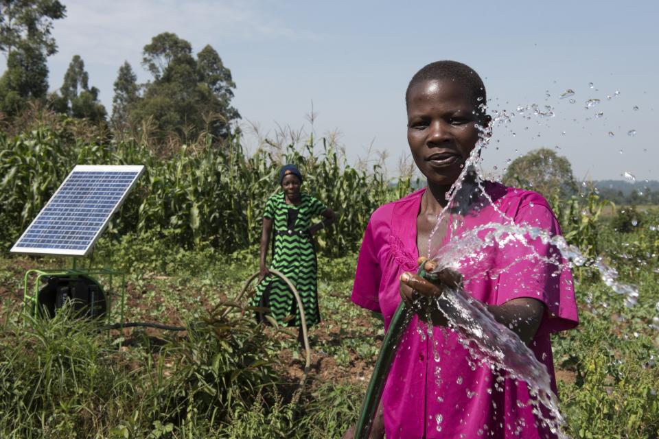 Irrigating a farm using solar-powered water pump