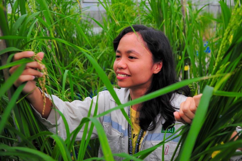 A farmer in her plantation