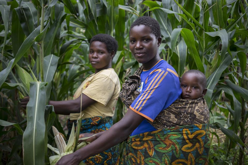 Maize farmers