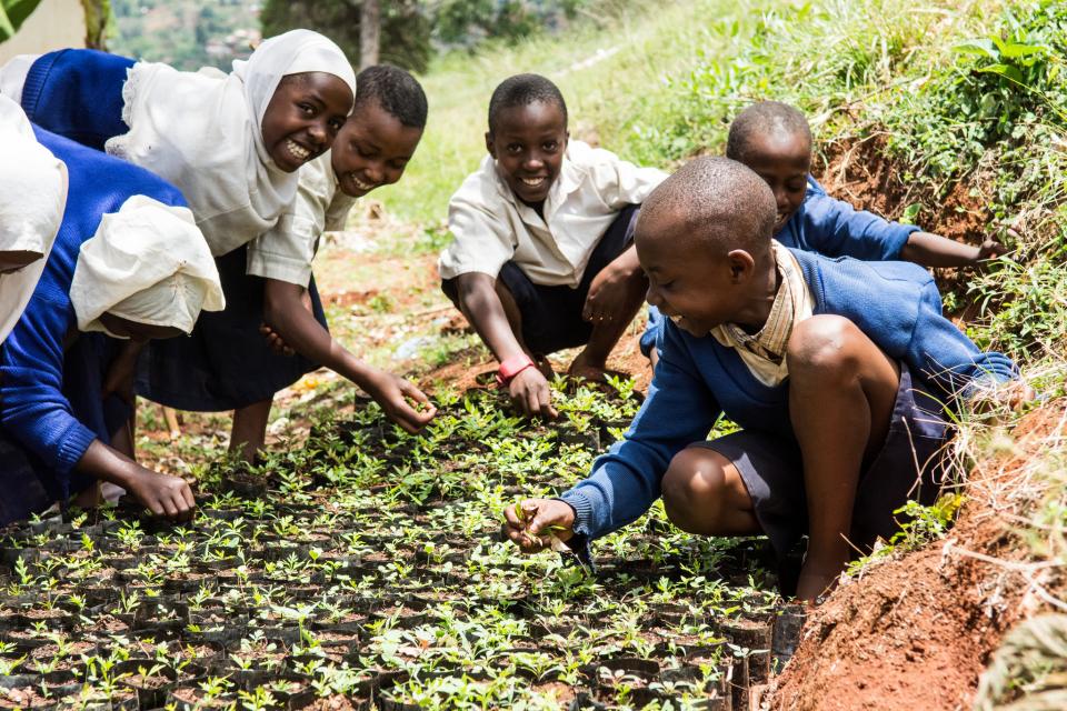 A school near Lushoto, Tanzania, where children are taught reforestation techniques