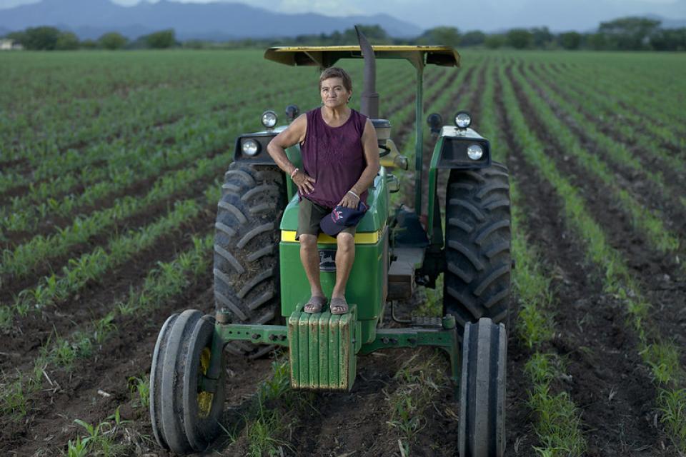 Woman on a tractor