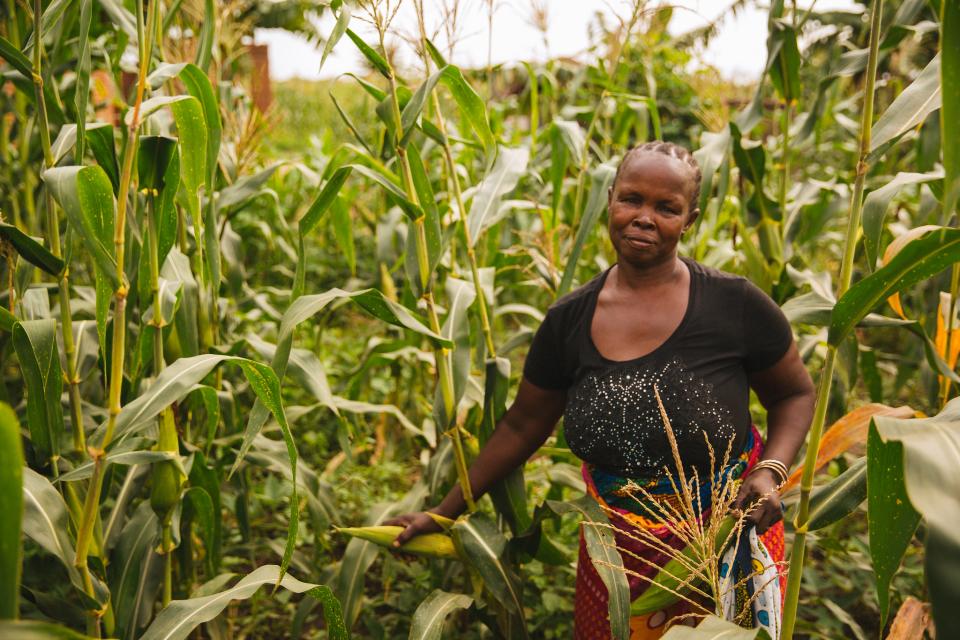 Woman Farmer Standing in a Cornfield in Kilosa, Tanzania