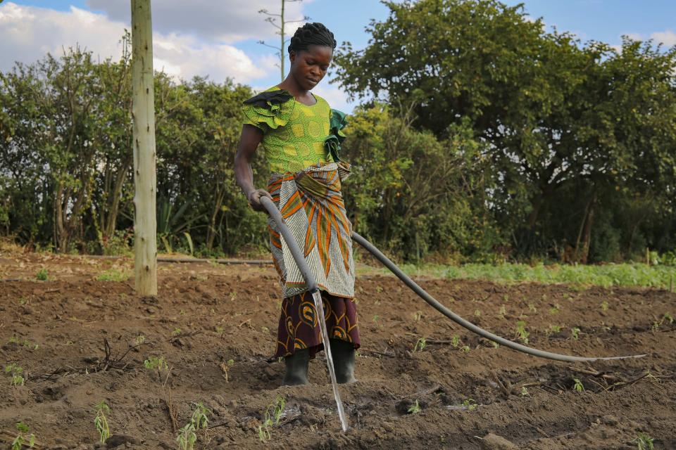 Female farmer irrigating her crops