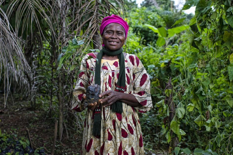 Ugwono Pauline plants gnetum (okok) seedlings in the village of Minwoho, Lekié, Center Region, Cameroon. Photo by Ollivier Girard/CIFOR-ICRAF