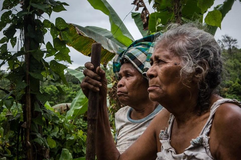 Women farmers in the fields