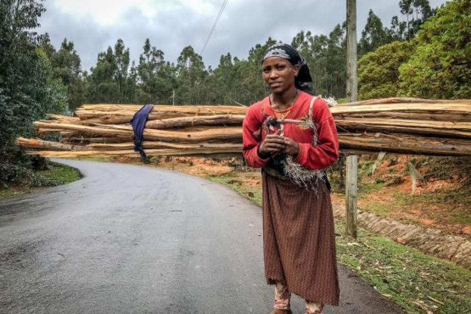 Woman carrying wood