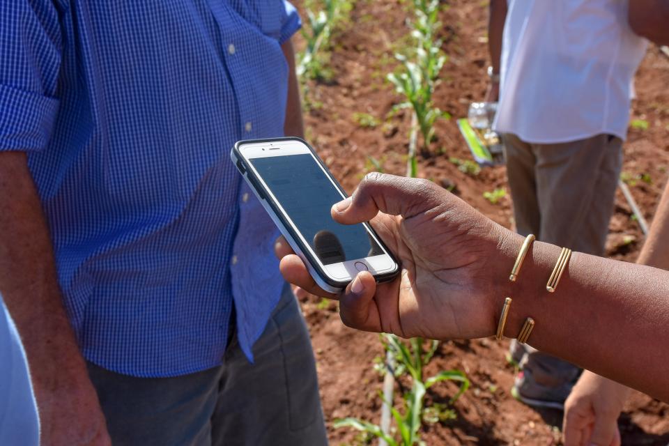 Hand holding cell phone with field in the background