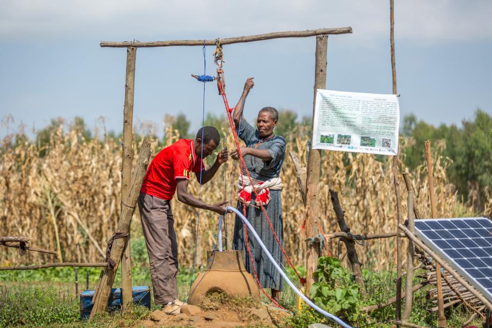 Irrigation