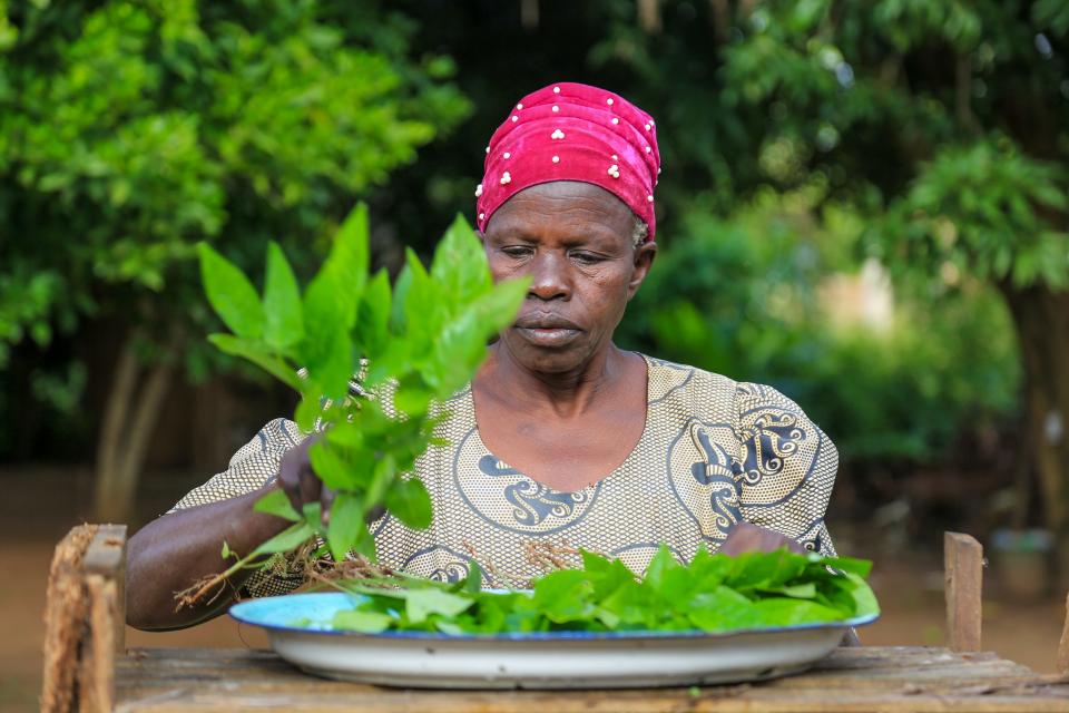 Josephine Atek is a 65-year-old vendor and farmer from the Bardege Division in Gulu District, who produces her own food and sometimes buys from the market.