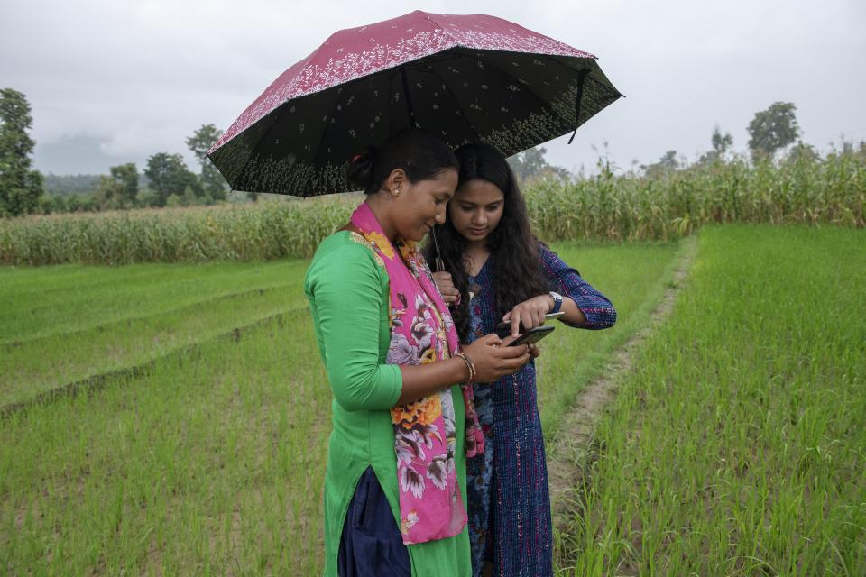 Using a mobile phone app in the field, Nepal