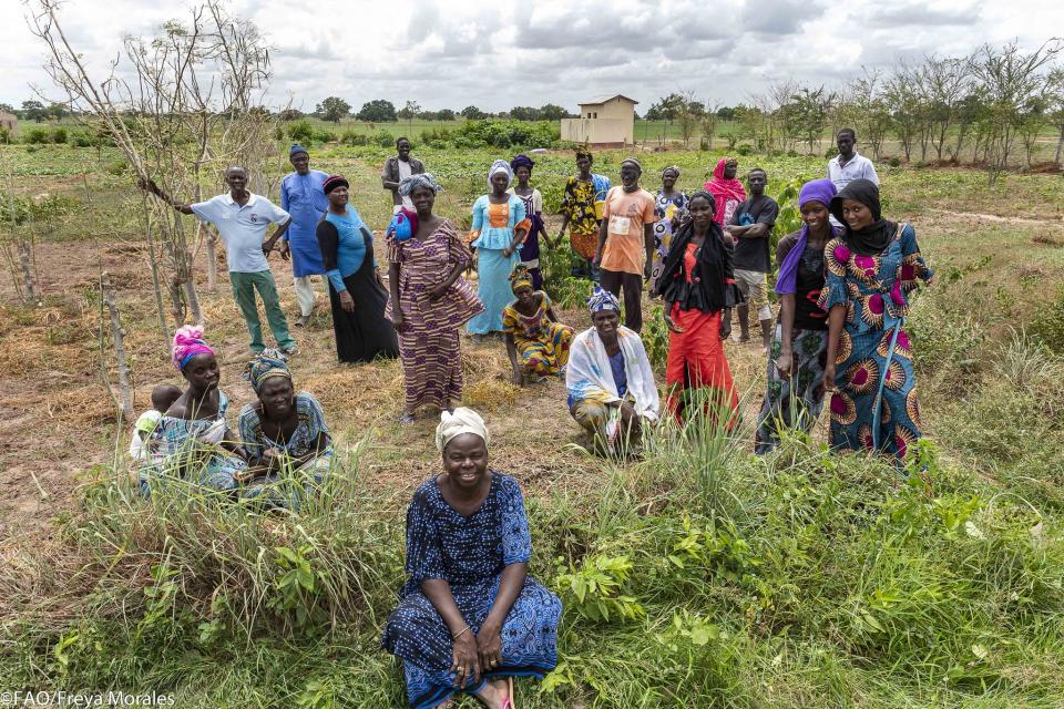 Farmers standing in field