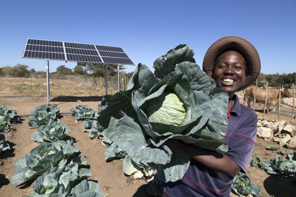 Climate smart agriculkture