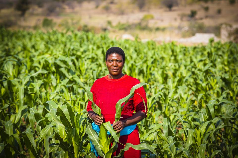 Farmer with her maize crop, Chochocho Irrigation Scheme located in the Inkomati Catchment, South Africa.