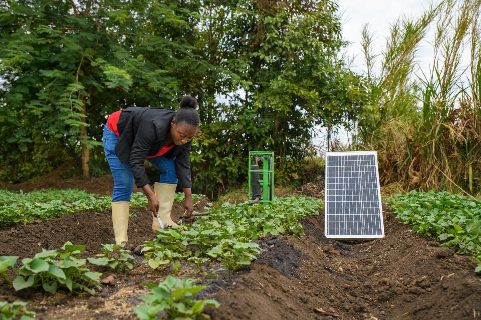 Farmer with solar panel