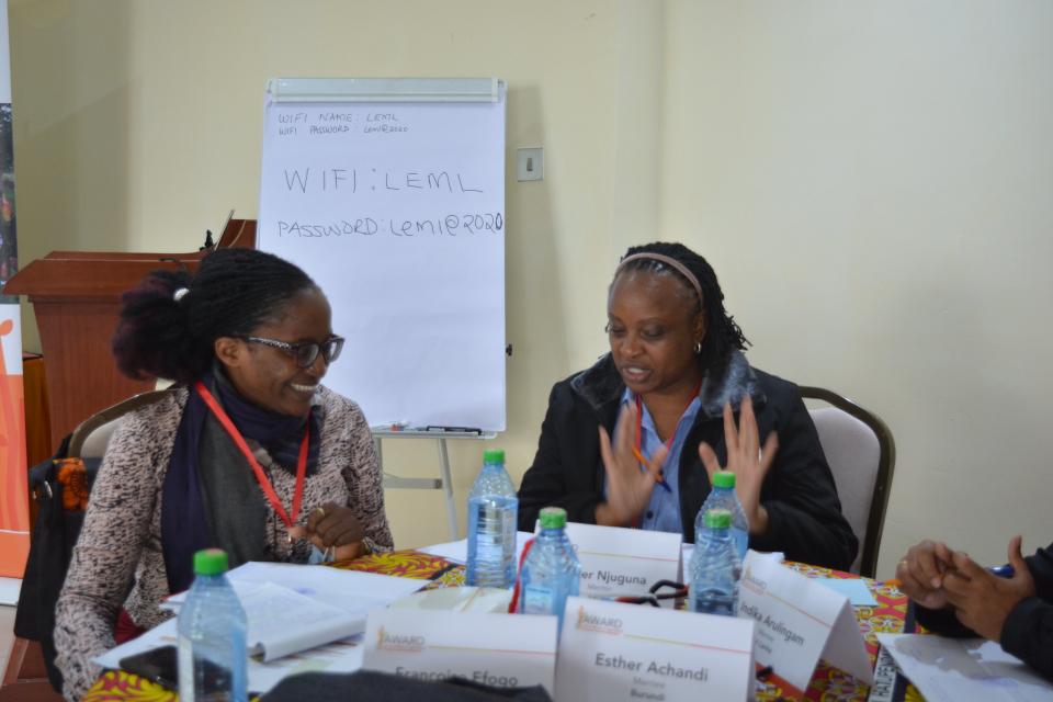 Mentoring Orientation Workshop for Gender Researchers Photo credit: AWARD/Anne Omamo