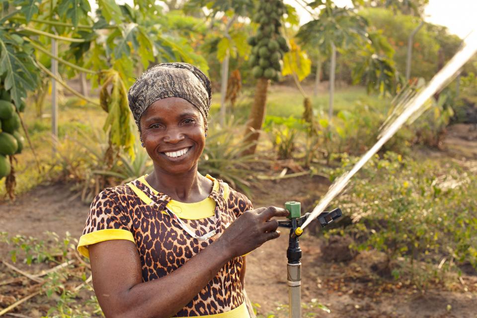 Sprinkler irrigation in the Northern Region of Ghana. Photo credit: Hamish John Appleby / IWMI