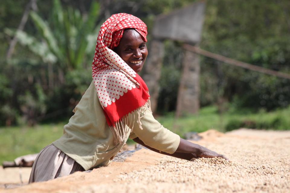 Farmer drying harvest in the sun