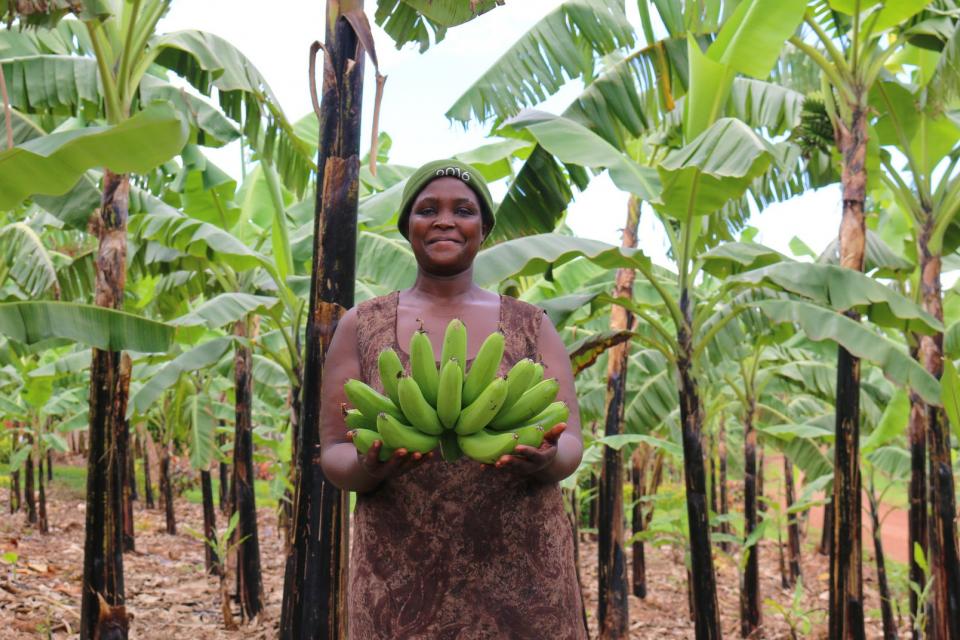 A smiling woman stands in her banana plantation holding green bananas in her hands