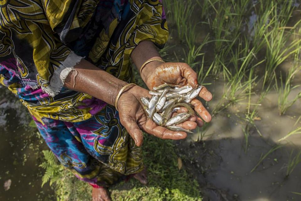 Photo of woman holding mola