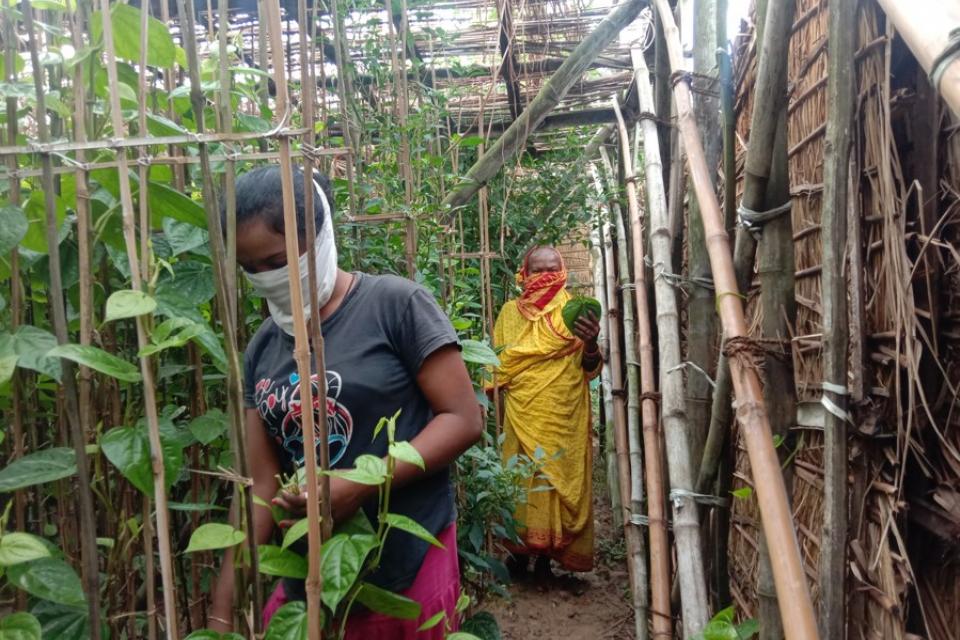 Women cultivating plants