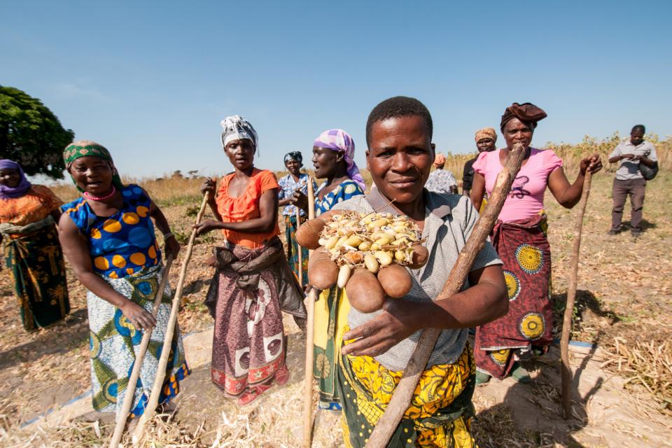 Photo of women with beans in Tanzania