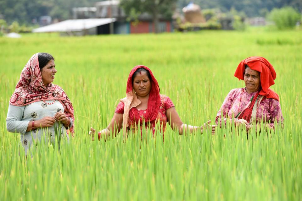 Photo of farmers in Nepal.