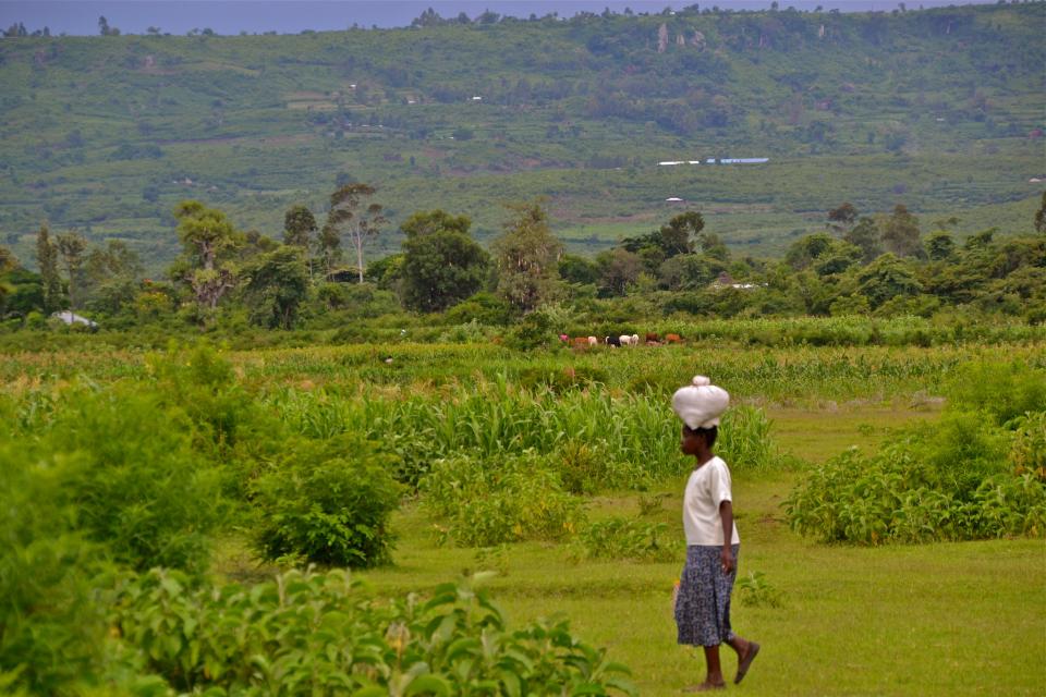 Woman in Kenyan landscape