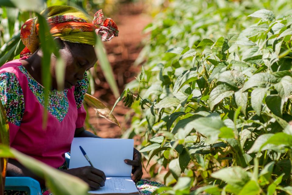 Woman with climate-smart soils in Kenya. Photo: Georgina Smith/CIAT.