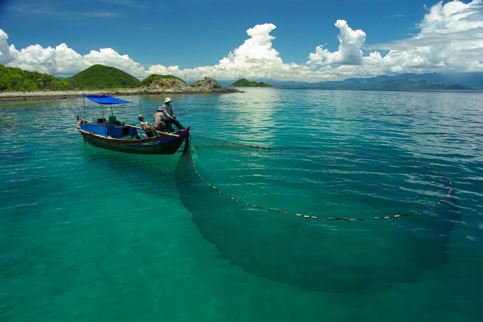 Purse seine fishermen fish for squid and cuttlefish in Vietnam.