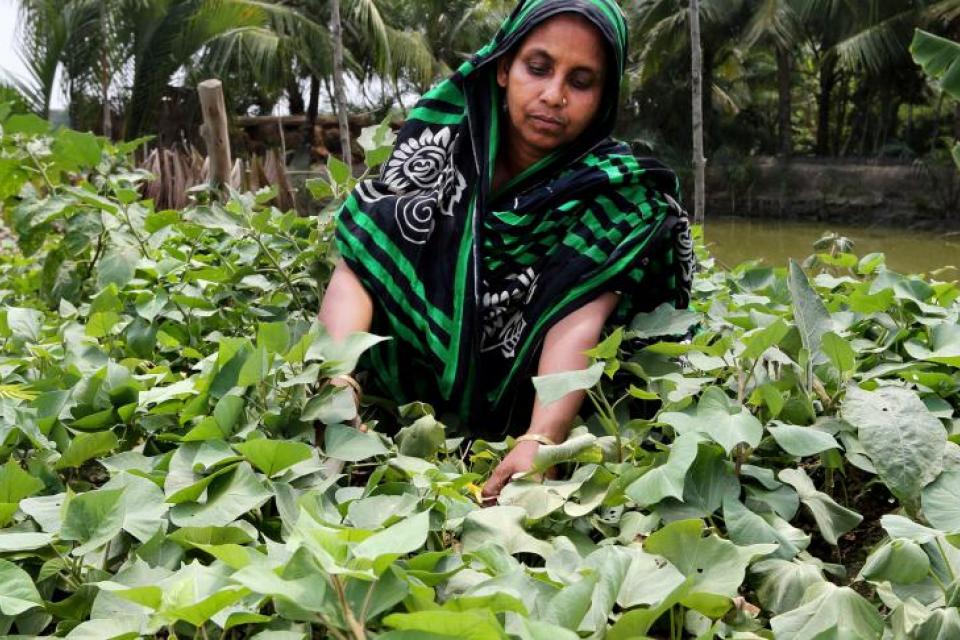 Farmer in Bangladesh_WorldFish