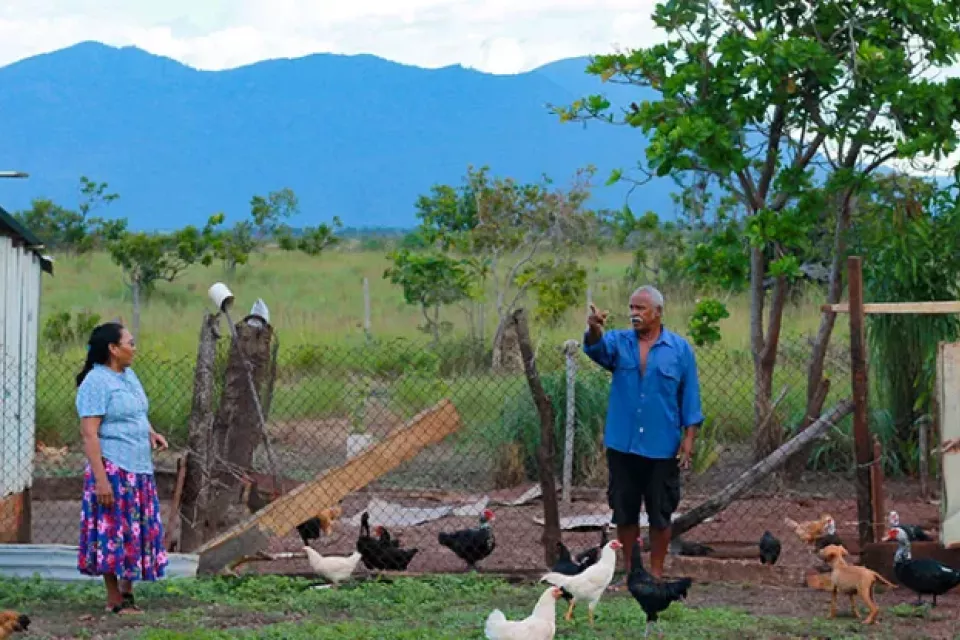 Flora Gomes along with her husband Patrick Gomes get ready to feed the chickens before locking them in their pen. ©FAO/Luke McKenna
