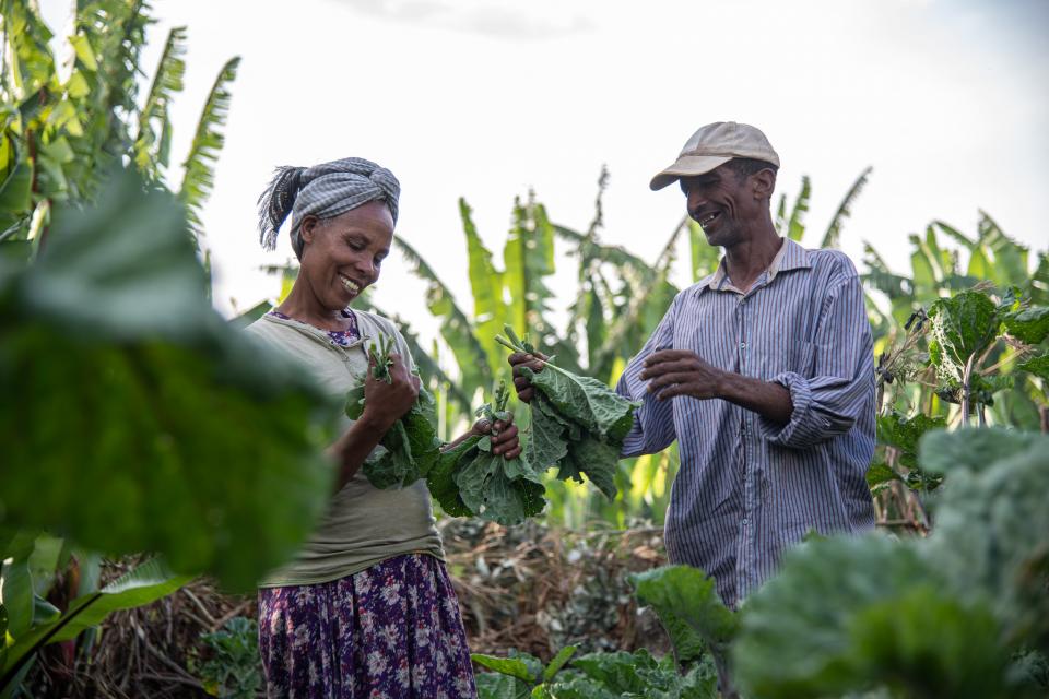 Askale Lombamo and husband Abamo Lombamo in their garden in Doyogena District, Ethiopia