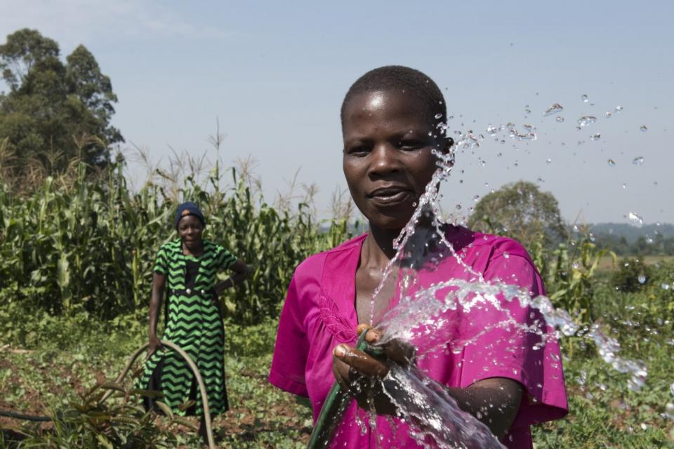 Women watering plants