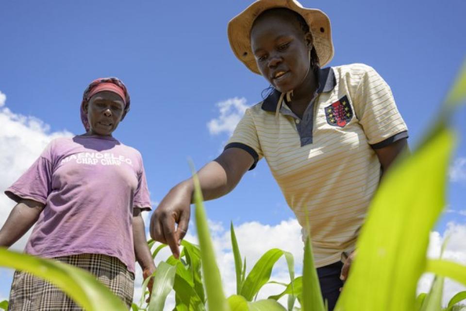 Women farmers cultivating plants