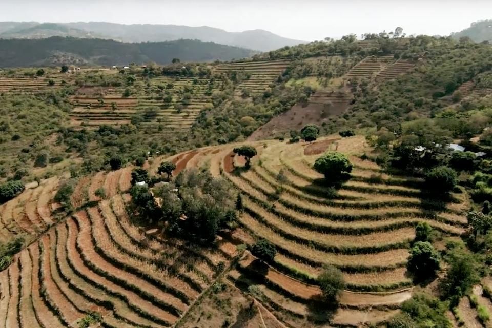 Terraced tropical landscape seen from above