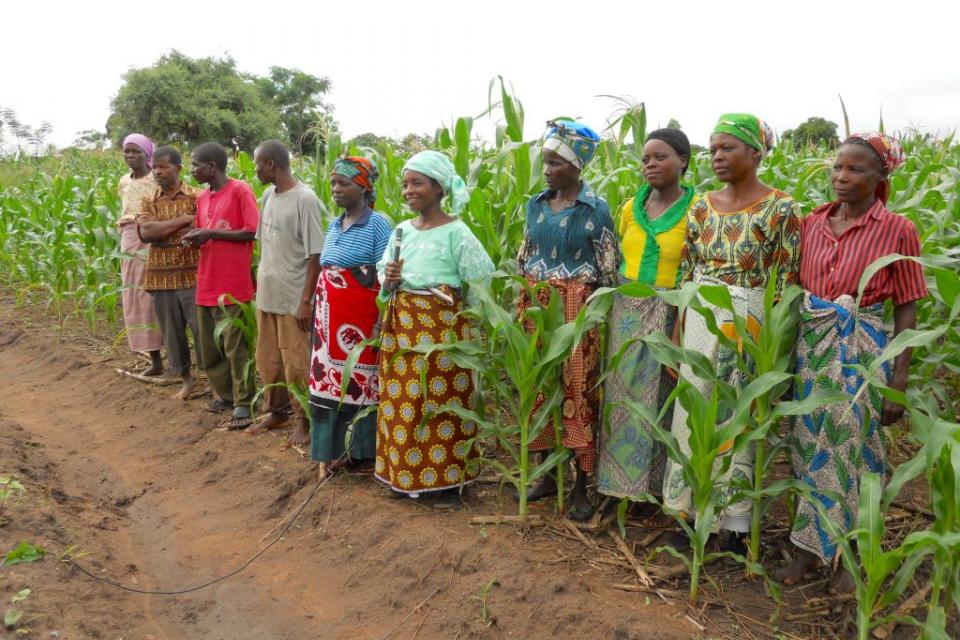 Group of farmers in the fields