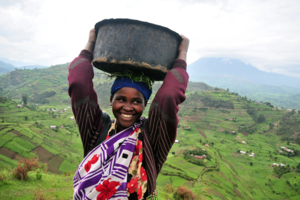 Debunking the myth of female labor in African agriculture